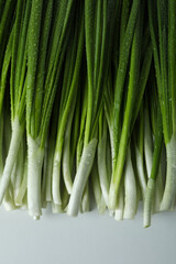 Fresh green onion with water drops, space for text