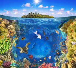 Fototapeta na wymiar Group of scuba divers exploring coral reef. Underwater sports and tropical vacation. Beautiful sunny tropical beach on the island paradise and underwater world with coral fishes.
