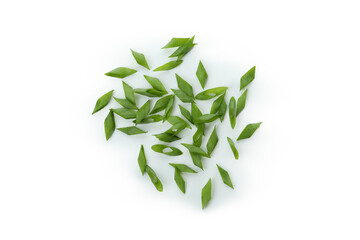 Chopped green onion isolated on white background