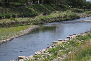 Spring Kamo River 