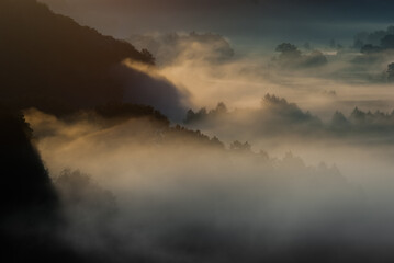Morning fog over the river floodplain