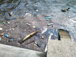 The edge of the Moscow River reservoir near the shore is heavily littered with garbage and other human objects