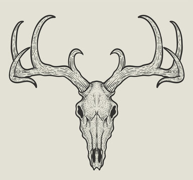 illustration vector dear skull head with engraving style