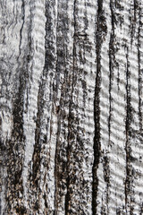 A close up texture of a jetty post fleurieu peninsula south australia on may 3rd 2021