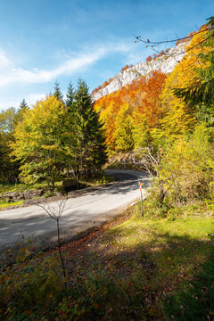 road winding through mountainous landscape. sunny nature scenery in autumn. Pietrele Negre, Apuseni Natural Park,  Bihor country, Romania