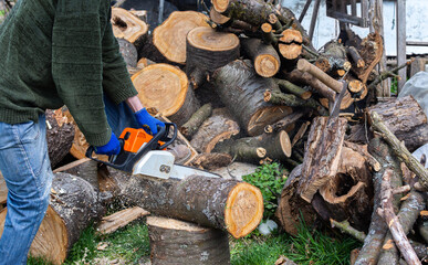 Preparing firewood for the winter, cherry logs piled in a heap in the yard, a farmer sawing a log with a chainsaw