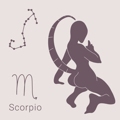Hand drawn illustrations of scorpio zodiac, sign, constellation