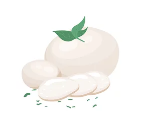 Foto op Plexiglas Gourmet Italian Mozzarella cheese with basil leaves.Whole Mozarella balls of fresh white sliced cheese,cut pieces. Organic healthy farm food.Flat vector illustration of food isolated, white background © Alina.Alina