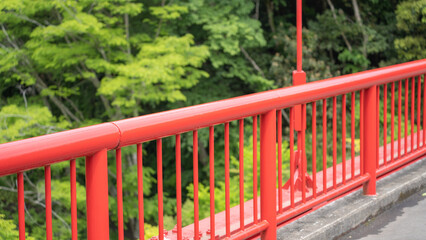 森の中の赤い吊橋