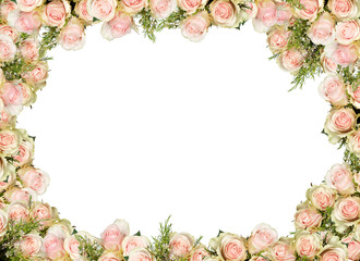 frame of roses pink beautiful flowers isolated on​ white​ background with clipping path​