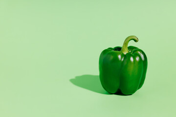 Fresh green bell pepper isolated on vibrant green background. Creative organic vegetable concept. Banner for healthy food or diet with copy space. Pop art aesthetic.