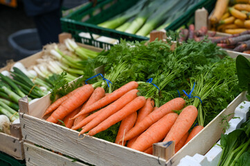 Möhren vom Markt