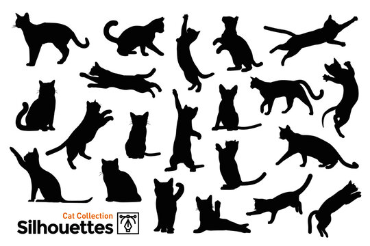 Collection of silhouettes of cats in different poses.