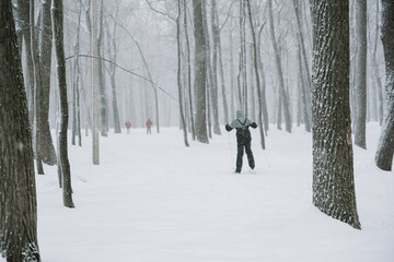 A skier in a winter forest during a snowfall