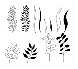 Set of isolated herbs and leaves. Contour and silhouette. Vector illustration