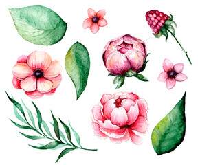 Hand-drawn watercolor flowers set