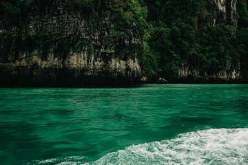 A high gray cliff with isolated green tree on top and green bushes growing in places situated in green water sea. 