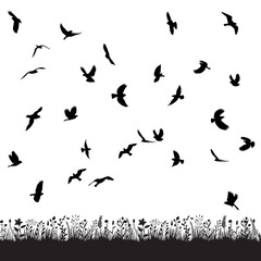 black silhouette of a flying flock of birds