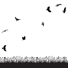 vector isolated black silhouette of a flying flock of birds