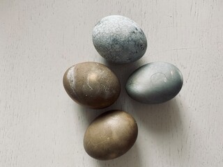 eggs look like stones