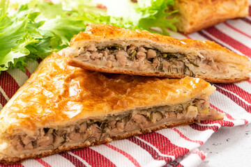 Meat pie close-up. Pieces of pie stuffed with minced meat with onions and dill. - obrazy, fototapety, plakaty