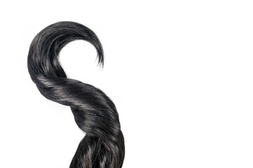 Curly black hair isolated on white background. Beautiful healthy long dark hair lock, haircut,...