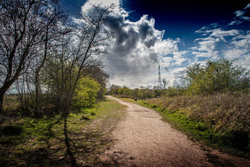 Cowpen Bewley, Nature Reserve