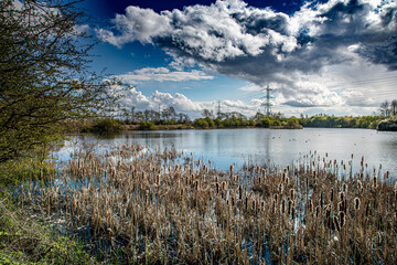 Cowpen Bewley Nature Reserve