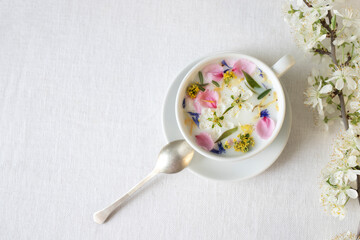 Herbal milk tea in a white tea cup on a white canvas and a natural flowering branch. Top view, space for text.