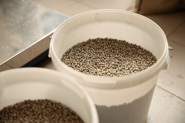 raw coffee testing before roast