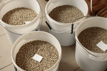 raw coffee testing before roast