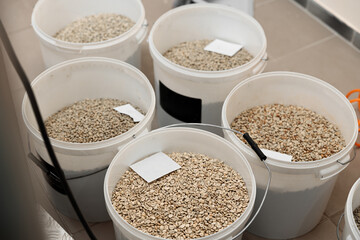 Coffee processing. Roastery, roasting machine and fresh beans