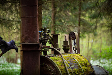 Illegal alcohol production apparatus positioned among the trees in the forest. Photo taken in low light conditions.