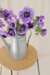 Fototapeta na wymiar Bouquet of flowers in metal watering can, colored blue anemone.