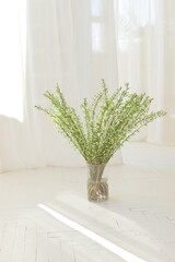 Beautiful flowering branches in glass vase on the floor in white room.