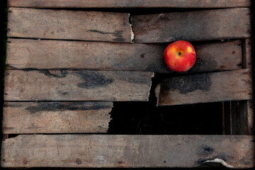 Wooden broken box. One apple. wallpapper. Text area.