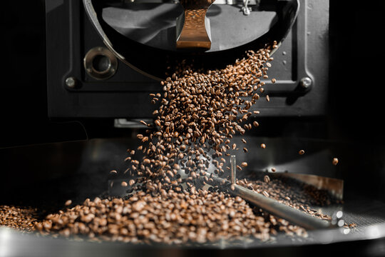 Coffee processing. Roastery, roasting machine and fresh beans