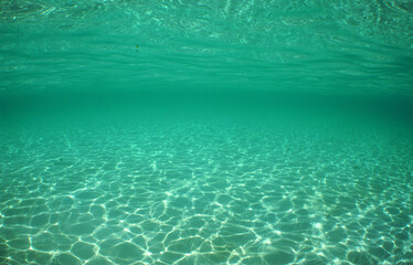 UNDERWATER SEA POOL , CARIBBEAN SEA , VENEZUELA