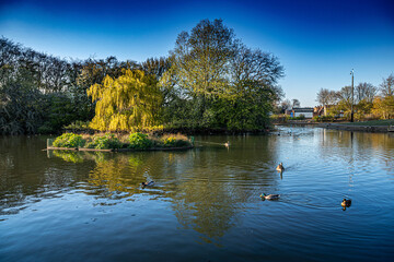 Fototapeta premium Rossmere Park, Hartlepool