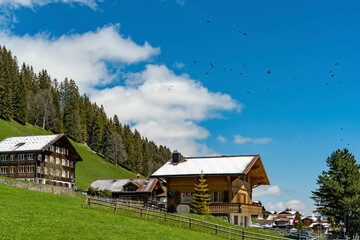 Alte Häuser in Ausserschwand, Adelboden. Ferienhäuser und alte Bauernhäuser in den Schweizer Bergen. travel in the Swiss mountains, with flying jackdaws, mountain jackdaws