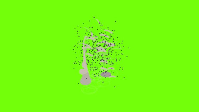 Coral branch icon animation cartoon object on green screen background