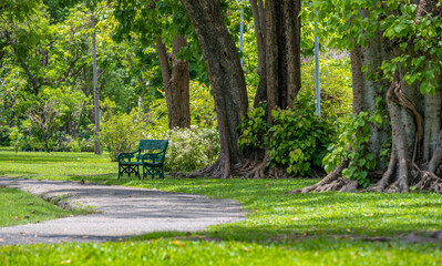 Green park with pathway and green bench.