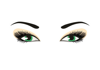 Vector female eyes with long lashes and make up.
