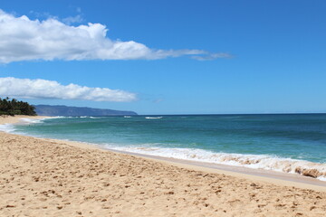 Fototapeta na wymiar ハワイの砂浜と海