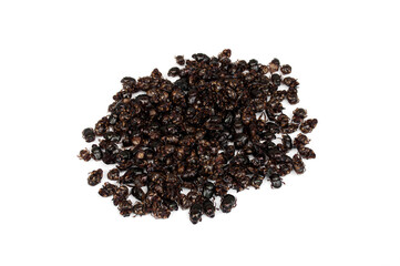 Dung beetle isolated on white background.