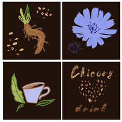 print design set of square cards with chicory flower, granules, root, lettering and drink cup
