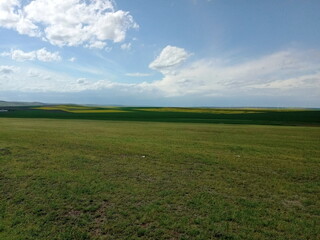 Șpring landscape with clouds and yellow rape
