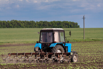 field work in agriculture. farmer's tractor harrows the field after planting seeds. tractor and seeder planting crops on a field.