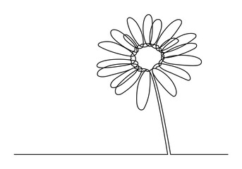 Chamomile continuous one line drawing. Cute chamomile isolated white background. Vector illustration