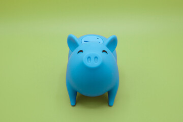 Piggy bank on green background. Finance, saving money concept.